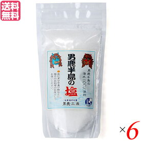 【スーパーSALE！ポイント3倍！】塩 天然塩 食塩 男鹿半島の塩 80g 6袋セット 男鹿工房 送料無料