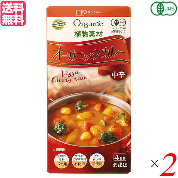 楽天市場】【マラソン限定！ポイント2倍！100円クーポン！】カレー 