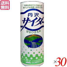 【4/18(木)限定！ポイント最大5倍！】サイダー ソーダ 炭酸 創健社 丹沢サイダー 250ml 30本セット 送料無料