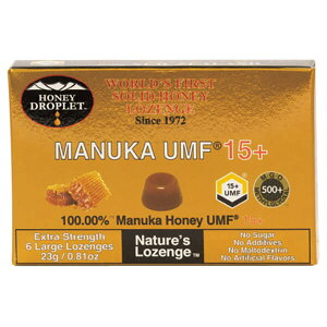 y300|CgRIz}kJnj[ LfB ̂ǈ nj[hbvbg }kJnj[UMF15+îǈj18g/6 nj[Wp