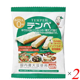 【4/25(木)限定！楽天カードでポイント6倍！】テンペ（レトルト）100g 2個セット マルシン食品 国産 大豆ミート 大豆肉 送料無料