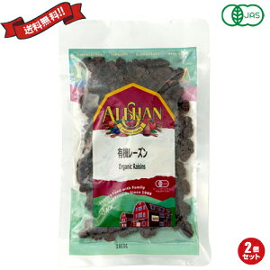 レーズン 砂糖不使用 アリサン 有機レーズン 100g 2袋セット