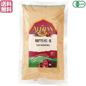 y300|CgRIzA}TX  I[KjbN X[p[t[h AT L@A}TX  350g 