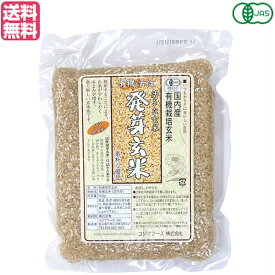 玄米 発芽玄米 国産 コジマフーズ 有機活性発芽玄米 500g 送料無料