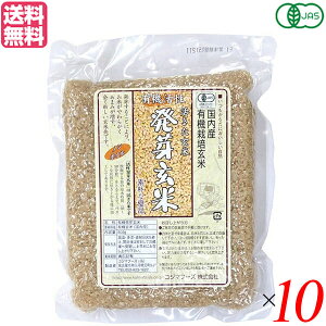 玄米 発芽玄米 国産 コジマフーズ 有機活性発芽玄米 500g 10個セット 送料無料