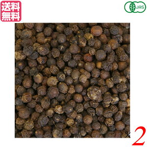 y12/1()I|Cgő8{IzubNybp[ z[ Ӟ Ɩp VOXSPICE I[KjbNubNyp[z[ 500g 2܃Zbg 