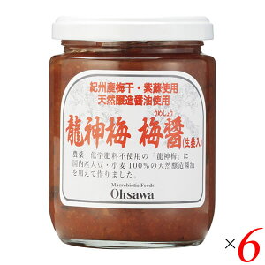 ~ ~ݔԒ Y _~ ~݁iIj250g 6Zbg I[T 