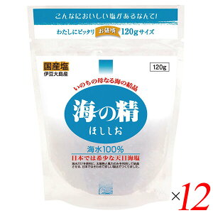 yX[p[SALEI100~N[|Iw2{Iz Y V C̐ ق  120g 12Zbg 