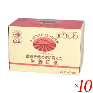 g eB[obO 傤 Ђ _g킸ɈĂIgieB[obOj20 10Zbg