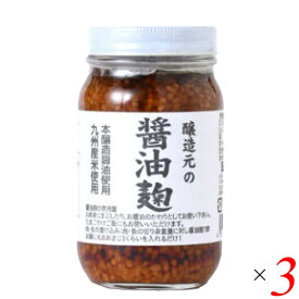江崎酢醸造元 醸造元の醤油麹 240g 3個セット 生麹 国産