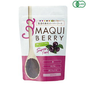 �y12/20(�y)����I�y�V�J�[�h�Ń|�C���g8�{�I�z�����̖� �L�@�}�L�x���[100%�p�E�_�[ 30g �I�[�K�j�b�N �t���[�Y�h���C ����