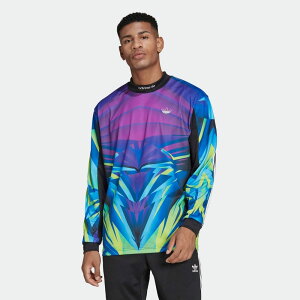 AfB_XIWiX adidas Originals AfB_XX|[c S[L[p[ W[W[ OX[uTVc Y HE4706 MENS ADIDAS SPRT GOALKEEPER JERSEY T-SHIRT MULTICOLOR