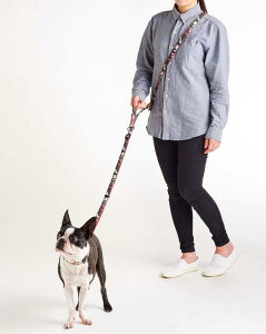 yeBI (Petio) Ethical Door GVJhA ʃV_[[h bh 