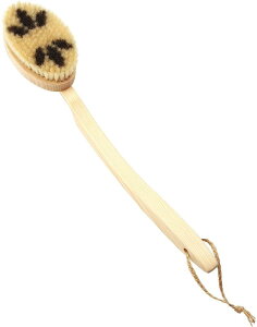 }[i (MARNA) {fBuV ȕ (ؖ / {) VR  C {fB[uV (w􂢂₷ / O\) ݂艺[ B573