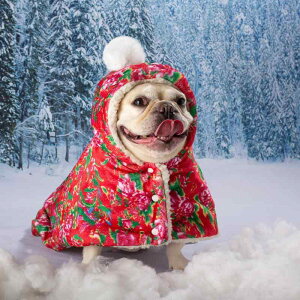 �y�b�g �� �� �V�N �h�b�O�E�F�A �}���g �V���[�� �����^�� �ۉ� �h�� �唻 �ԕ� ���킢��