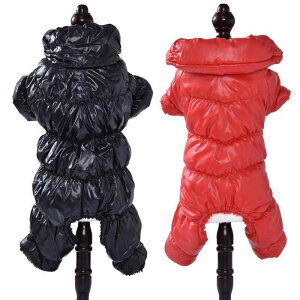 �� �� �H�~ ���^�� ���^�� ��^�� �y�b�g�� �_�E���W���P�b�g �h�� �g���� �h�b�O�E�F�A ���b�h �u���b�N2