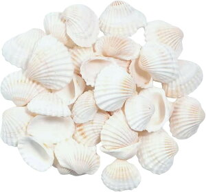 Azmio �L�k �V�F�� �A�N�Z�T���[�p�[�c DIY ��|�p�i �� �l�C���p�[�c �n���h���C�h (shell)