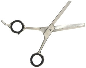 X[p[Lbg (Super Cat) E`EN`[ XeXXLoT~ OC-27