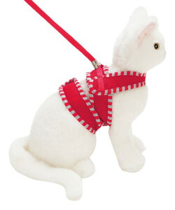 yeBI (Petio) Anycatn[lX XgCv S bh