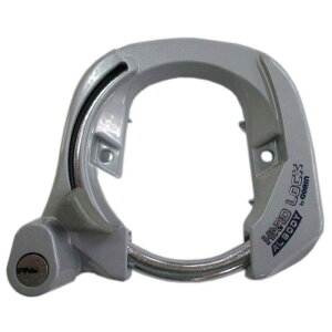 S(GORIN) fBvL[^O Vo[ GR970-SL