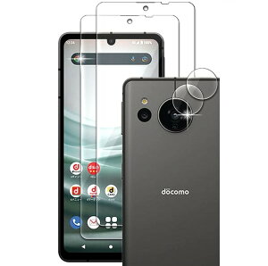 RISE 2���{2�� �t�B���� AQUOS Sense7 �K���X�t�B���� SH-53C/SHG10/SH-M24 �p �ی�t�B����