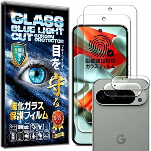 RISE 2���{2�� �t�B���� Google Pixel 9 Pro XL �p �K���X�t�B���� �u���[���C�g�J�b�g �J�����t�B���� �����Y�t�B���� �����Y�ی�K���X �����Y�J�o�[ ������ ������ ���{�� 0.26mm �d�x10H 3D �^�b�`