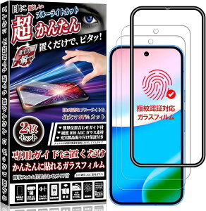 �K�C�h�g�t �w��F�ؑΉ�2����RISE�K���X�t�B���� Google pixel 10/10 Pro/9 �p �ی�t�B���� �O�[�O���s�N�Z��10 �t���ی� ���� 3D (�u���[���C�g�J�b�g, pixel 10/10 Pro/9 /9 Pro)