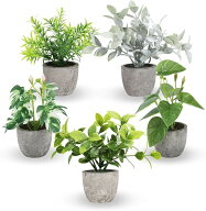 卓上フェイクグリーン 観葉植物 造花 インテリア ミニ 光触媒 置物 おしゃれ fake plant green 緑 水やり…
