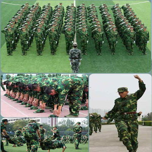 ʕ Y ʕ TVc  pc ZbgAbv jp ToCoQ[ ƕ AEghA Robg jtH[ z t