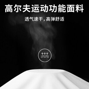 St |Vc fB[X  StEFA X|[cEFA ڐG⊴ z Lk t