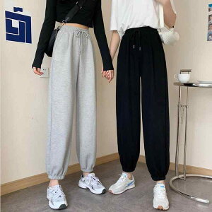 pc fB[X e[p[hpc X|[c EFA |GXea  [Y nCEGXg n DF  ubN h[XgO K JWA ʋ