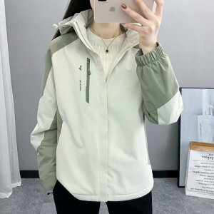 }Eep[J[ fB[X Y h h AE^[ N oR H~  sNn  ~^[O[ J[L AEghA EFA