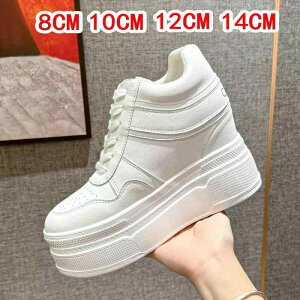 Xj[J[ fB[X  gAbv v U[ Cq[ 8cm 10cm 12cm 14cm X|[c [Jbg EhgD R tďH~  zCg JWA ig