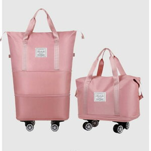 sobO jp X[cP[X L[obO e g\  X|[cobO IbNXtH[hn ig ʋ ʊw s DF    sNn