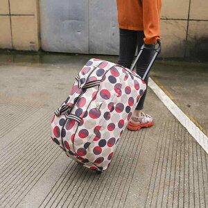 X[cP[X fB[X Y L[obO gxobO sobO e 20`35L IbNXtH[h 􉽊w͗l bh ubN O[ zCg iq hbg ԕ xA 20C