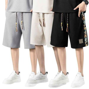 n[tpc Y jp 傫TCY X|[c JWA  n |@  [EFA