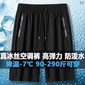 n[tpc Y 5 jp C[W[pc ėp 傫TCY  Xg[g  |Pbgt ڐG⊴  [EFA X|[c ^ ubN O[