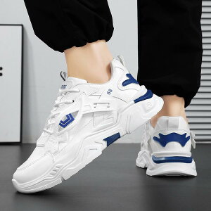 Xj[J[ Y jp [JbgXj[J[ amC X|[cV[Y jOV[Y ^C  v DF  tH~