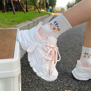 Xj[J[ fB[X ^C jOV[Y  wlC ʋC y X|[c JWA sNn u[n tH