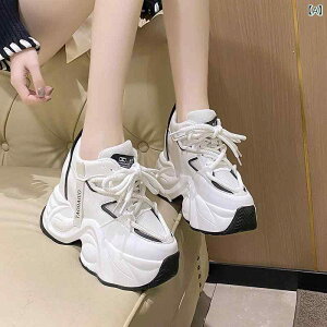 Xj[J[ fB[X  X|[c jO V[Y JWA ʋC y  ubN sNn t