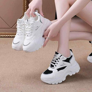 Xj[J[ fB[X  jOV[Y X|[c JWA ʋC bV ؍   22.5cm 23cm 23.5cm 24cm 24.5cm 25cm 25.5cm 26cm t H