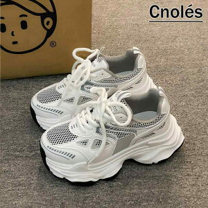 Xj[J[ fB[X  Cq[ ^C jOV[Y  X|[c JWA Vo[ [Jbg ʋC y ig fC[[X r gAbv X^CAbv(x