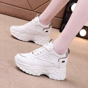 Xj[J[ fB[X  X|[cV[Y jOV[Y JWAV[Y wlC  C ʋC ₷  J[LF (x2)