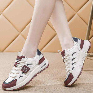 Xj[J[ fB[X wlC X|[cV[Y jOV[Y  y ʋC NbV ^C JWA ₷ ₷  ubNn  Cbhn tďH~