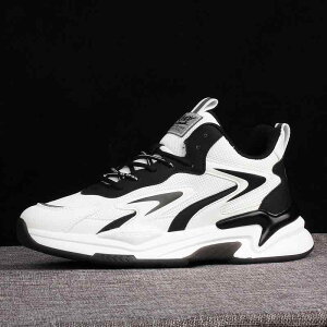 Xj[J[ Y  jOV[Y ^C jp bV ʋC NbV Ȃ i   24.0 24.5 25.0 25.5 26.0 26.5 27.0 27.5 28.0 28.5