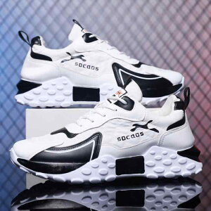 Xj[J[ Y jp X|[cJWAV[Y  ʋC ~   ubN zCg t H~ ig ^C jO