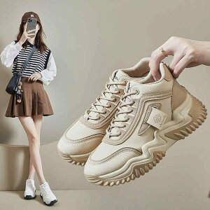 Xj[J[ fB[X  jOV[Y JWAV[Y ^C H~  C n  ubN x[Wn