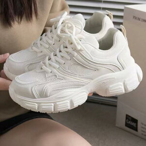 Xj[J[ fB[X  ^C jOV[Y wC g y wlC   ig tH X|[eB[ 킢