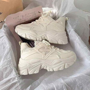 Xj[J[ fB[X  ^C [Jbg jO V[Y  C X|[c JWA ig   ~hq[ ₷ ₷