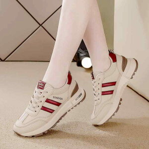 Xj[J[ fB[X 傫TCY tďH~ [Jbg RC X|[eB JWA ig jO ^C PUU[   F(x2)